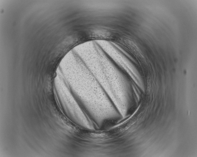 X0000088360457200706121059