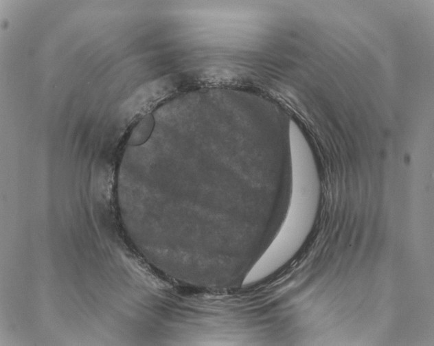 X0000088360458200706121059