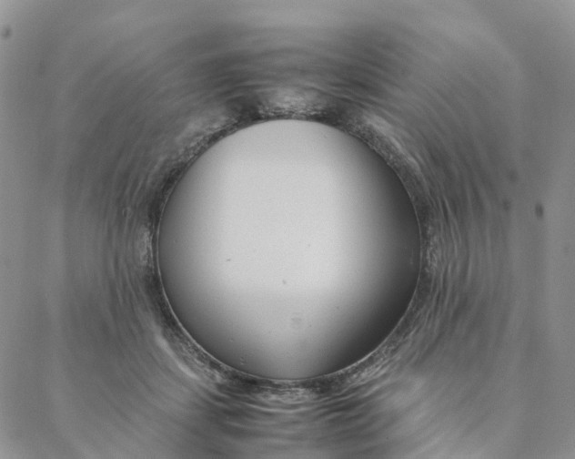 X0000088360459200706121059