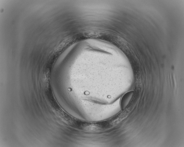 X0000088360460200706121059