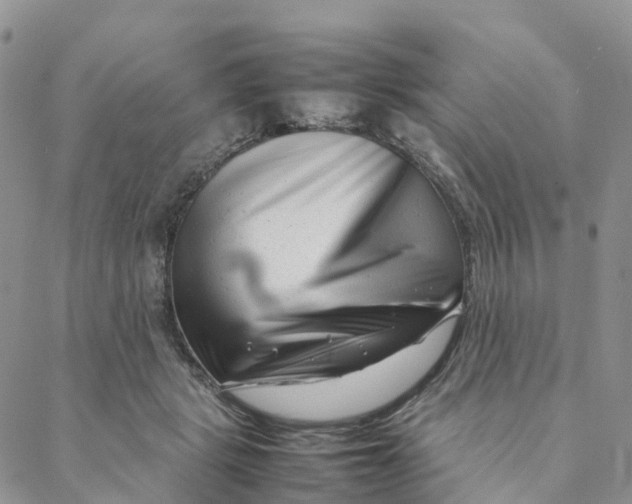 X0000088360461200706121059