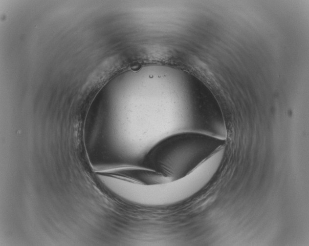 X0000088360462200706121059