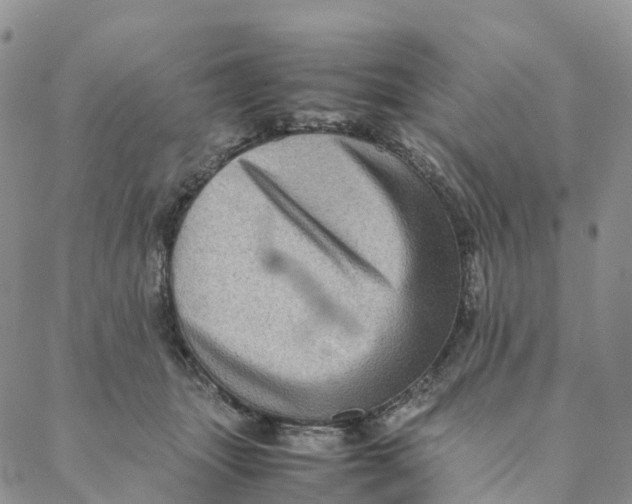 X0000088360463200706121059