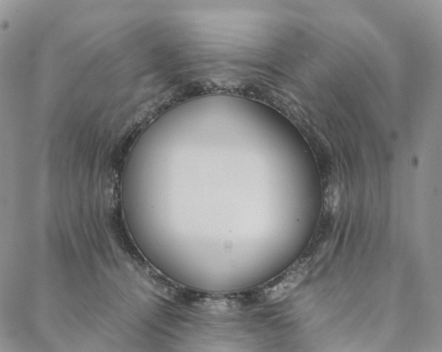 X0000088360464200706121059