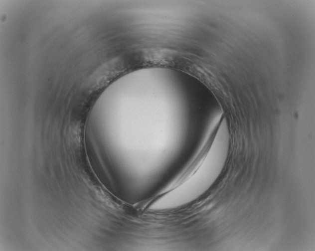 X0000088360466200706121059