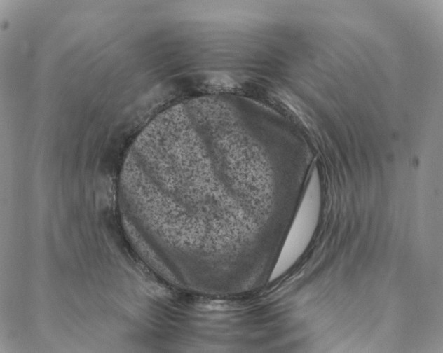 X0000088360467200706121059