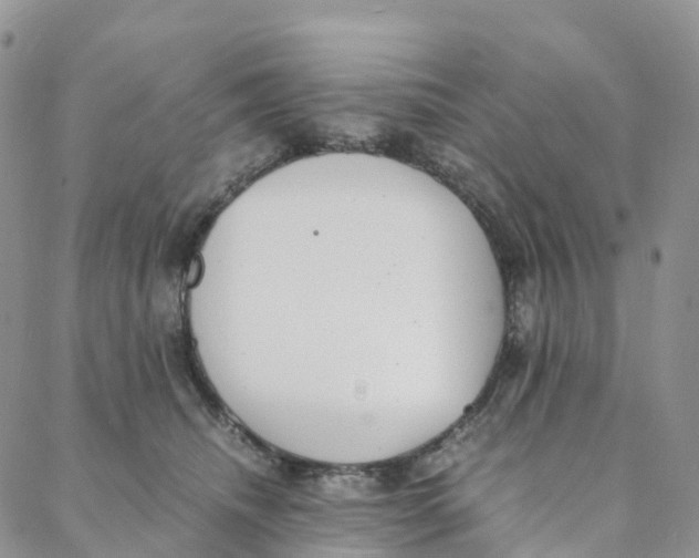 X0000088360468200706121059