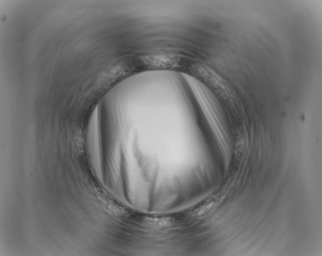 X0000088360469200706121059