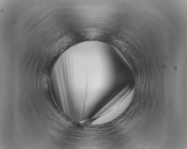 X0000088360470200706121059