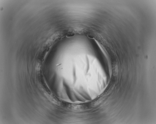 X0000088360472200706121059