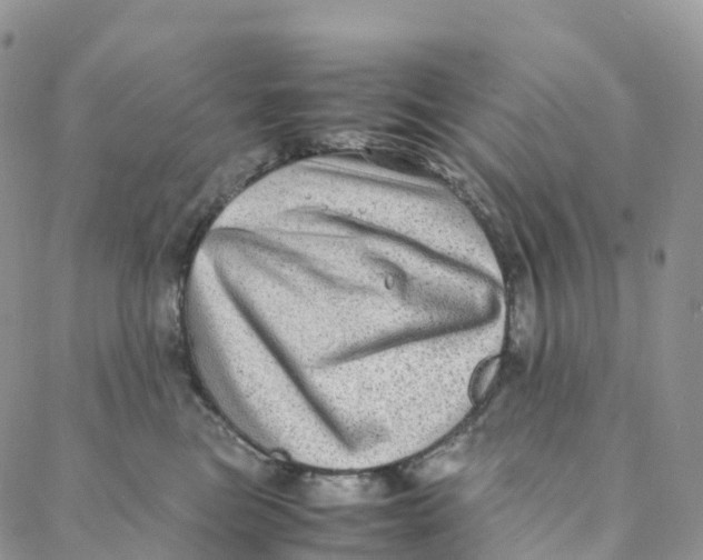 X0000088360473200706121059