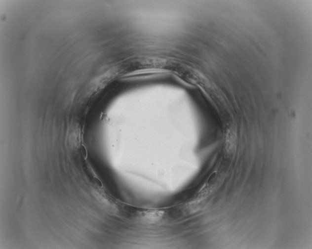 X0000088360474200706121059