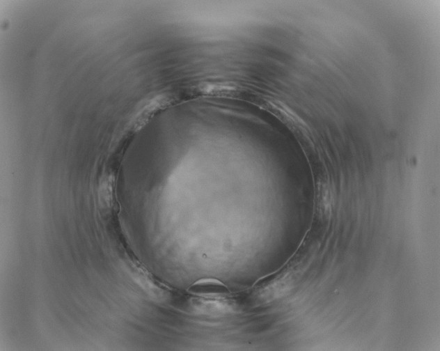 X0000088360475200706121059