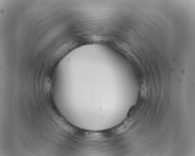 X0000088360476200706121059