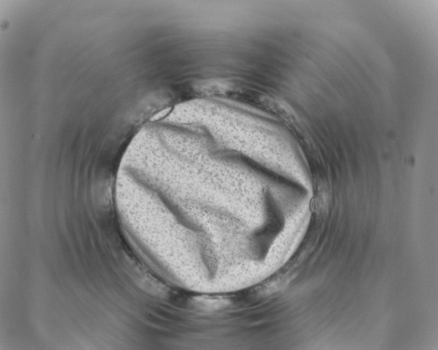 X0000088360477200706121100