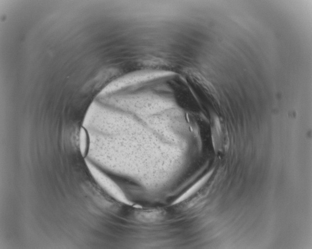 X0000088360479200706121100