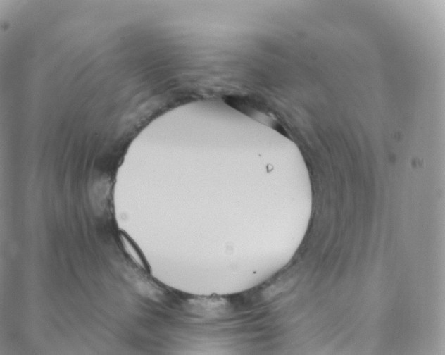 X0000088360480200706121100