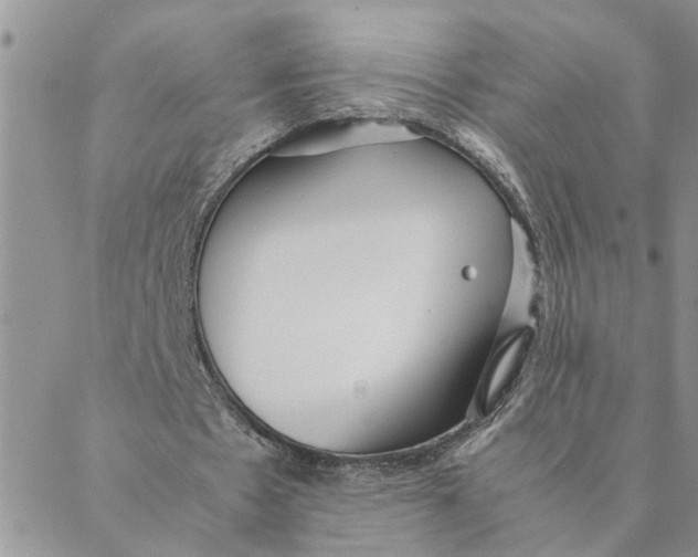 X0000088360481200706121059