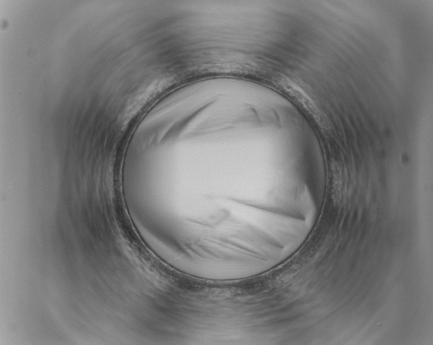 X0000088360482200706121059