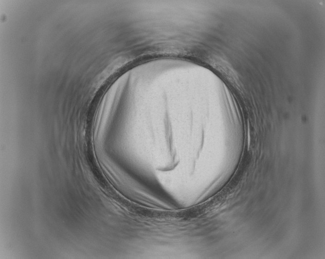 X0000088360483200706121059