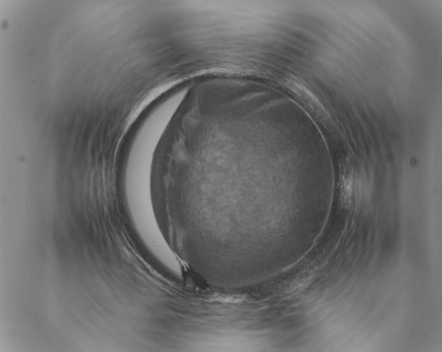 X0000088360484200706121059