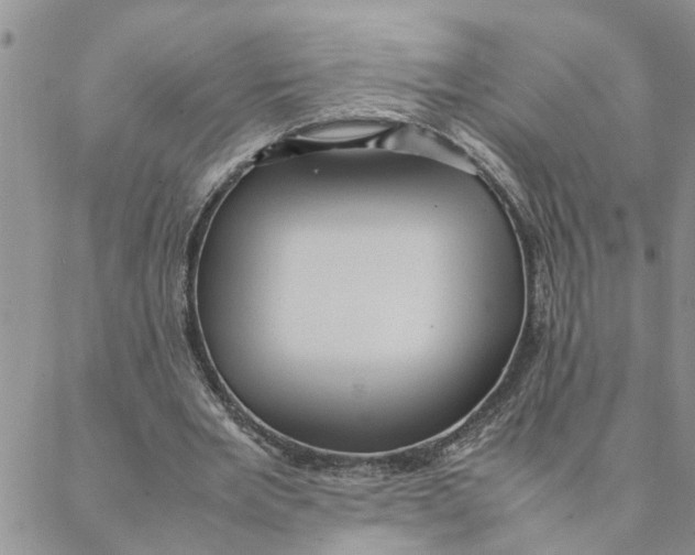 X0000088360485200706121059