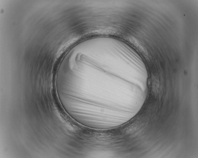 X0000088360486200706121059