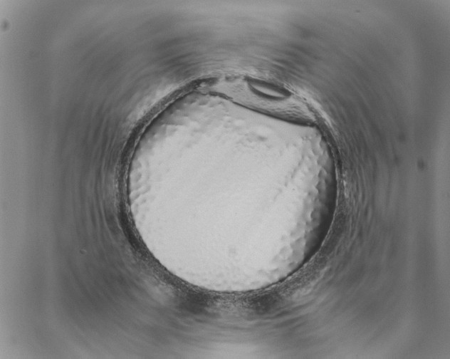 X0000088360487200706121059