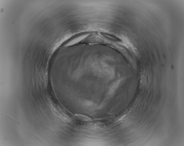 X0000088360488200706121059