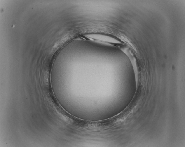 X0000088360489200706121059