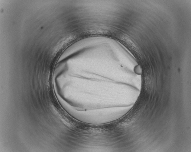 X0000088360490200706121059