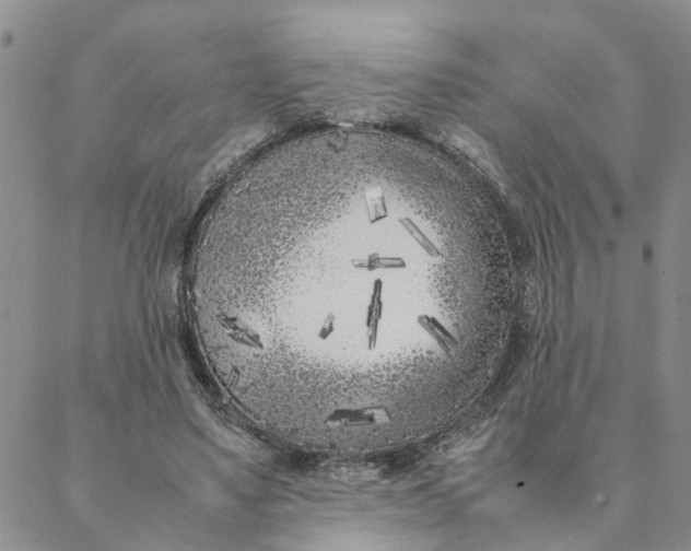 X0000088360491200706121059