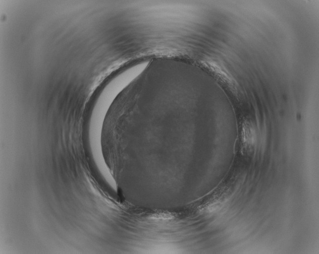 X0000088360492200706121059