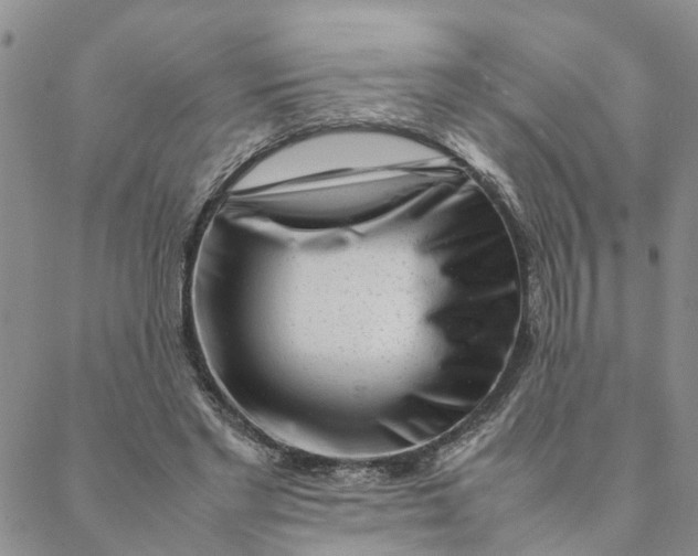 X0000088360493200706121059