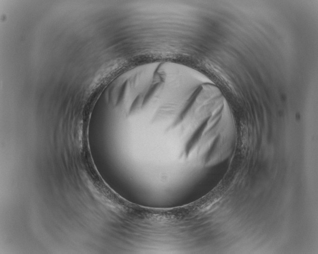 X0000088360494200706121059