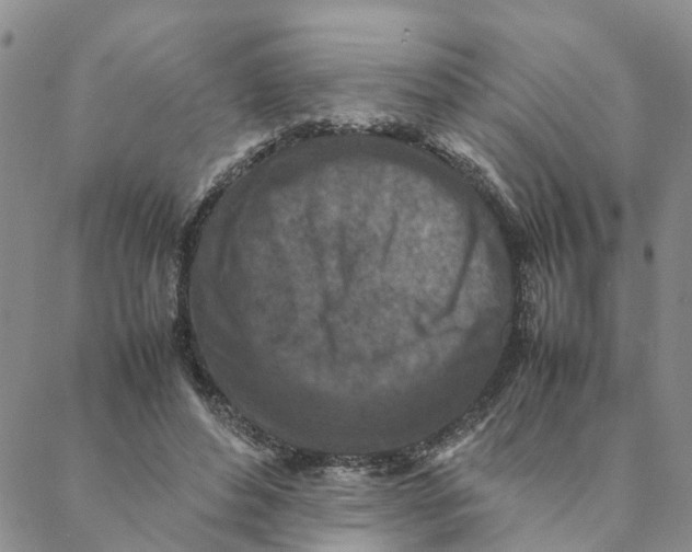 X0000088360496200706121059