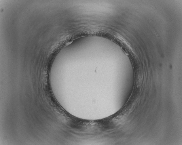 X0000088360497200706121059