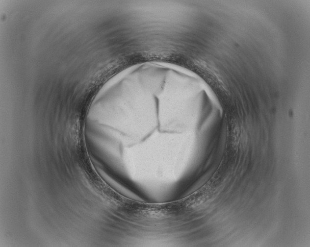 X0000088360498200706121059