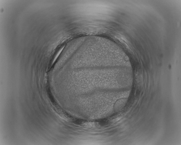 X0000088360499200706121058