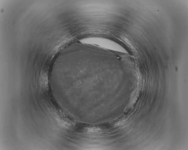 X0000088360500200706121058