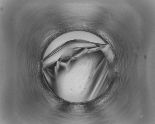 X0000088360501200706121058