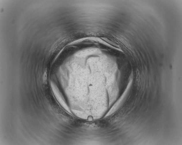 X0000088360502200706121058