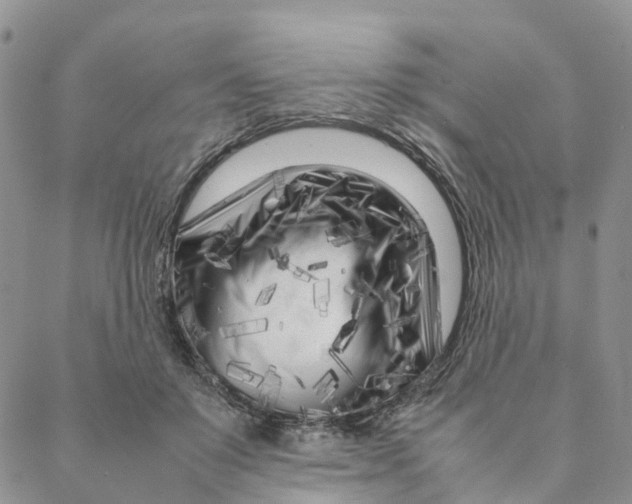 X0000088360503200706121058