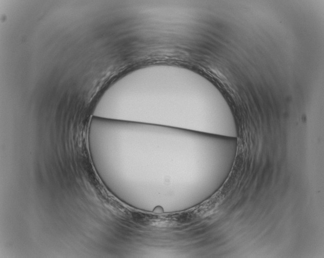 X0000088360504200706121058