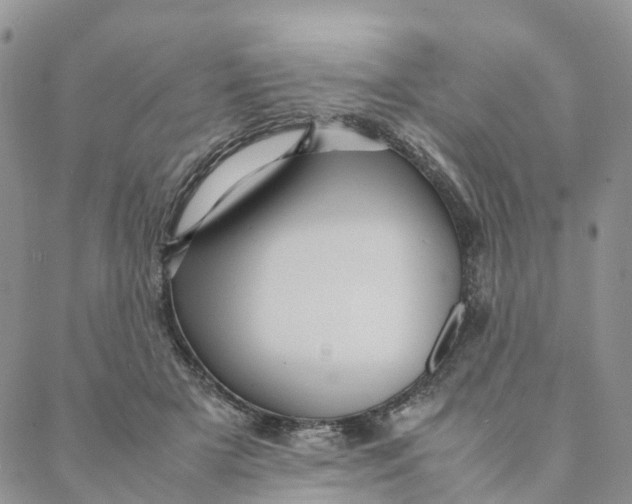 X0000088360505200706121058