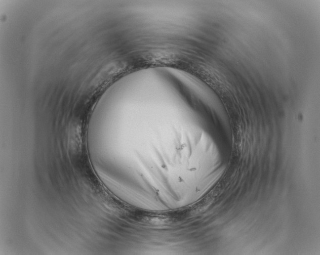 X0000088360506200706121058