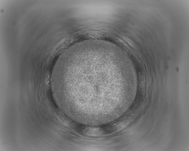 X0000088360507200706121058