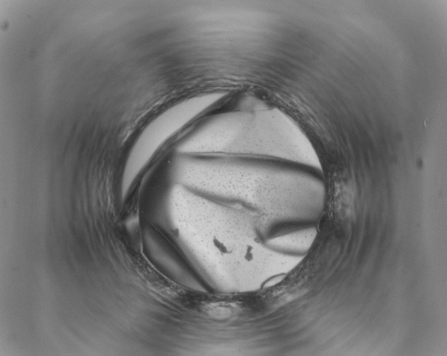 X0000088360508200706121058