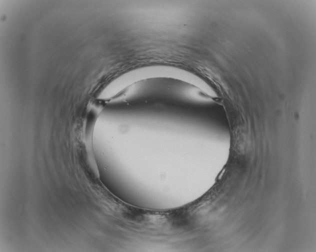 X0000088360509200706121058