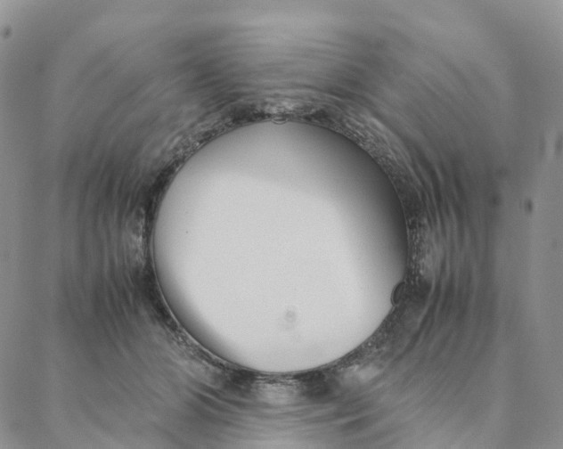 X0000088360510200706121058